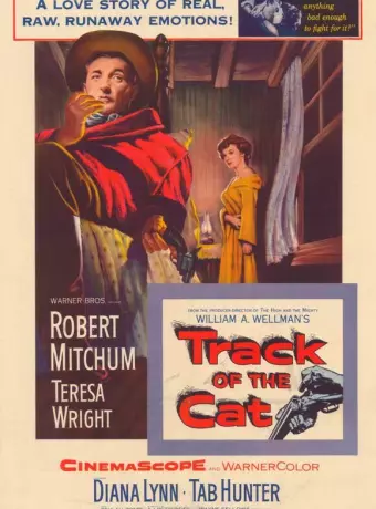 След кота / Track of the Cat