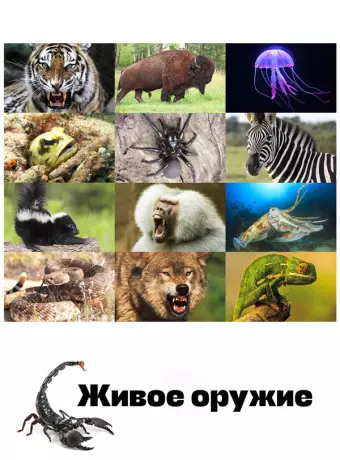 Живое оружие / Animal Armory