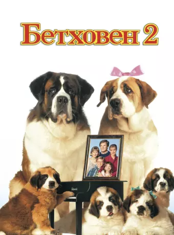 Бетховен 2 / Beethoven's 2nd