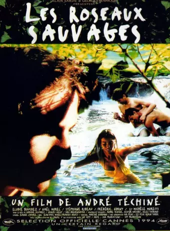 Дикий тростник / Les roseaux sauvages