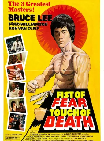 Касание смерти / Fist of Fear, Touch of Death