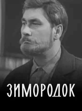 Зимородок