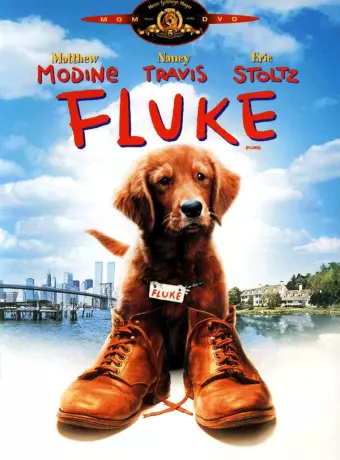 Флюк / Fluke