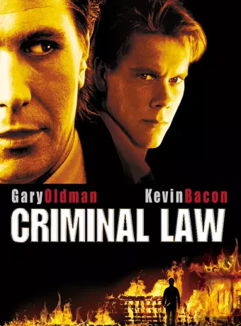 Адвокат для убийцы / Criminal Law