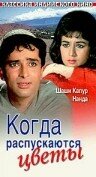 Когда распускаются цветы / Jab Jab Phool Khile